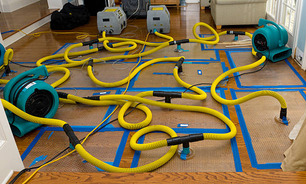 Professional Water Extraction technician working in Holton, MI