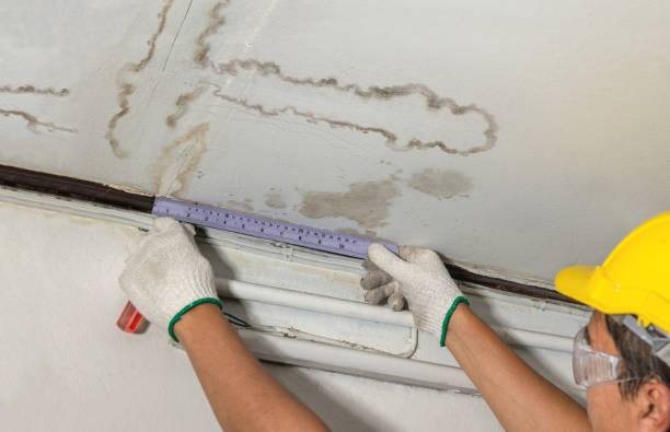 Affordable Water Damage Repair solutions in Holton, MI